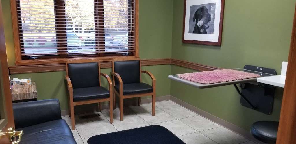 Noahs Stop 11 Animal Hospital | 4625 E Stop 11 Rd Suite B, Indianapolis, IN 46237, USA | Phone: (317) 885-7297