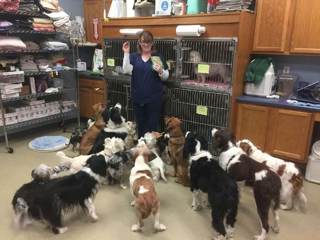 Deer Creek Animal Hospital | 6788 W 135th St, Overland Park, KS 66223, USA | Phone: (913) 851-3700