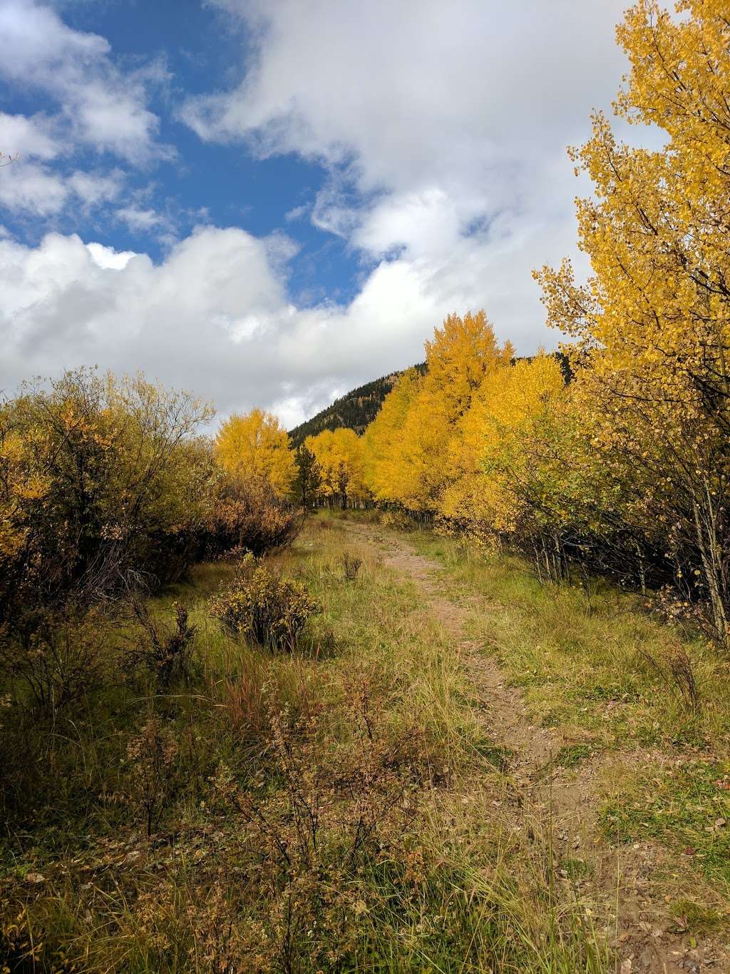 Burning Bear Trailhead #601 | Geneva Rd, Grant, CO 80448, USA | Phone: (303) 275-5610