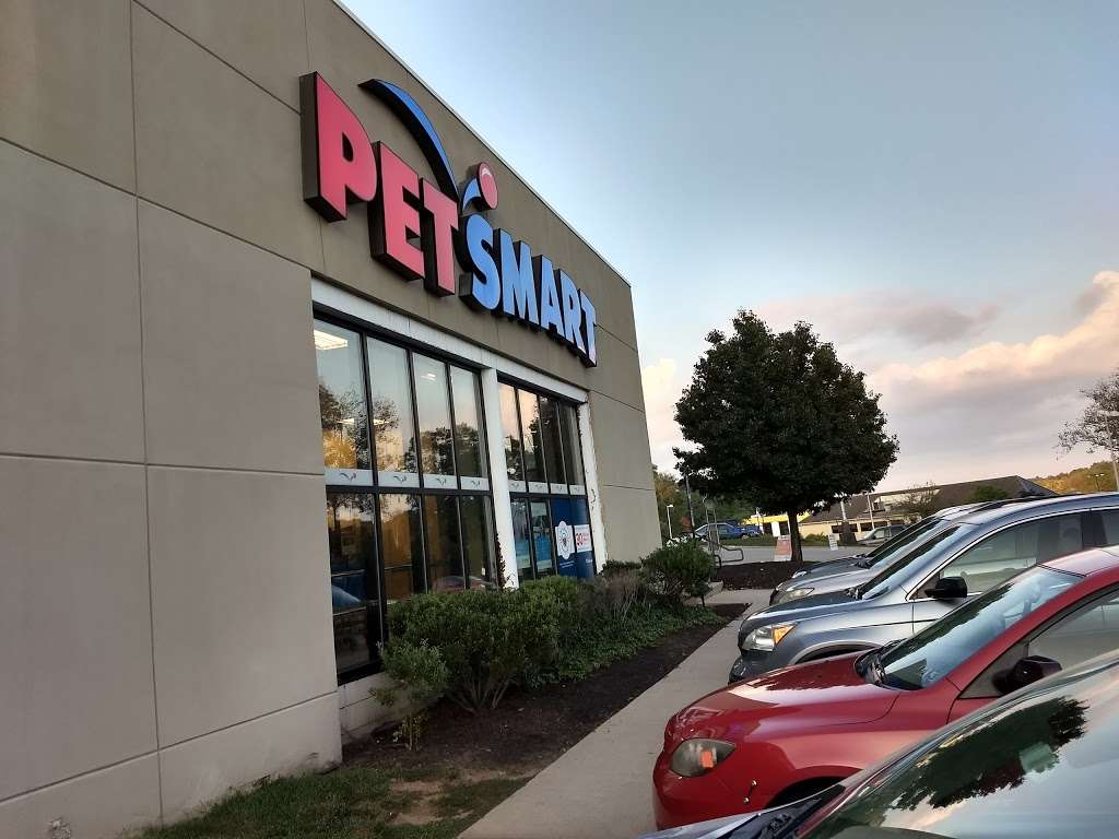 PetSmart | 901 Old York Rd, Jenkintown, PA 19046 | Phone: (215) 885-3635