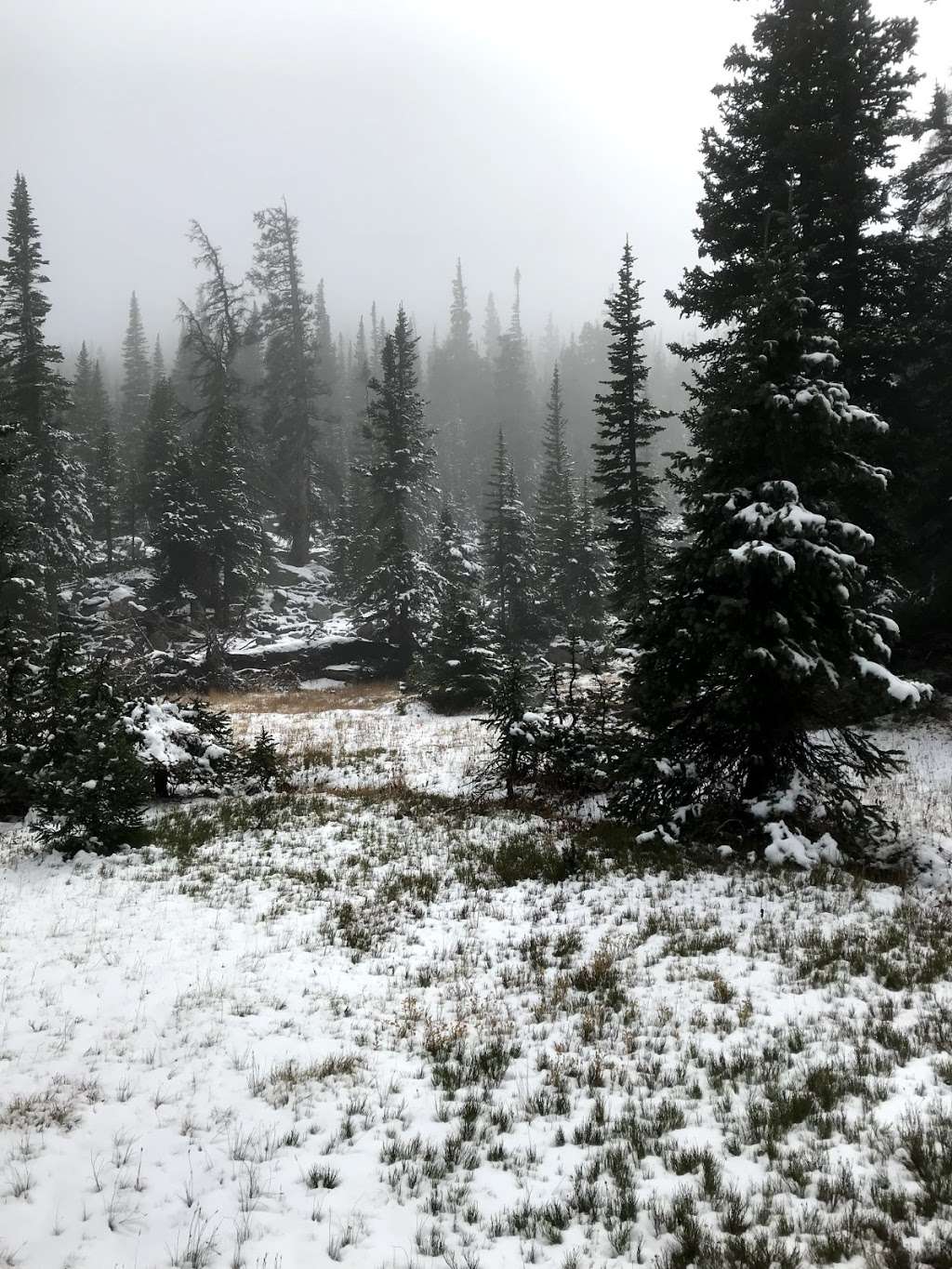 Sourdough | Estes Park, CO 80517, USA