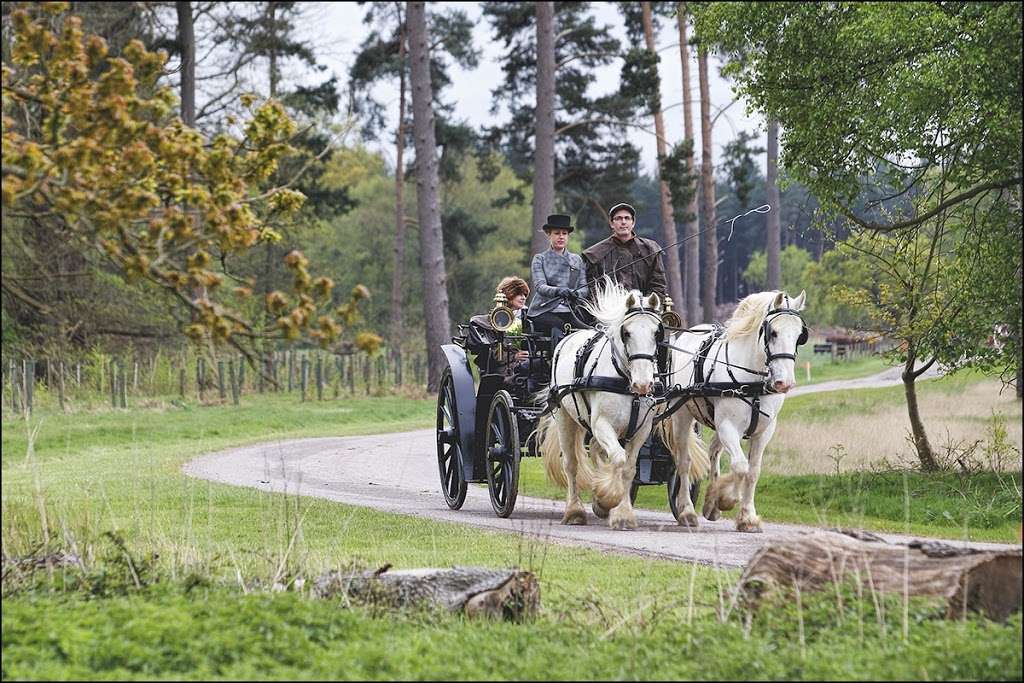 The Horse Drawn Carriage Company | Ashurstwood, Ashurst Wood RH19 3SA, UK | Phone: 07821 742016