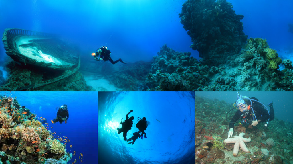 W. W. Diving Company | 3023 Woodland Hills Dr, Kingwood, TX 77339, USA | Phone: (281) 540-1616