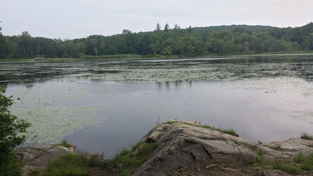 Russia Brook Sanctuary | Stockholm, NJ 07460, USA | Phone: (973) 532-9830