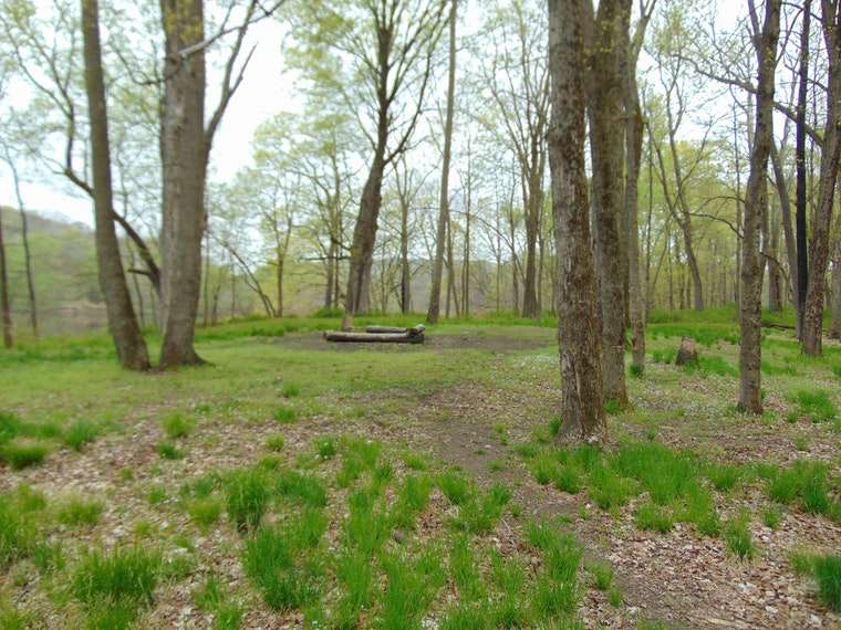 National Park Service - Delaware River - Peters - Campsites # 56 | Layton, NJ 07851