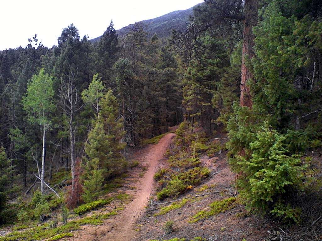 Meadows Group Campground | Colorado Trail, Pine, CO 80470, USA | Phone: (877) 444-6777