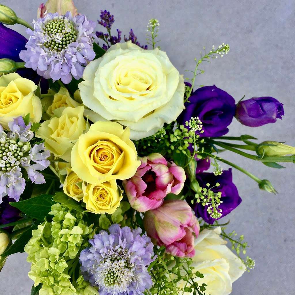 Derby Farm Flowers & Gardens | 218 Massachusetts Ave, Arlington, MA 02474, USA | Phone: (781) 643-0842