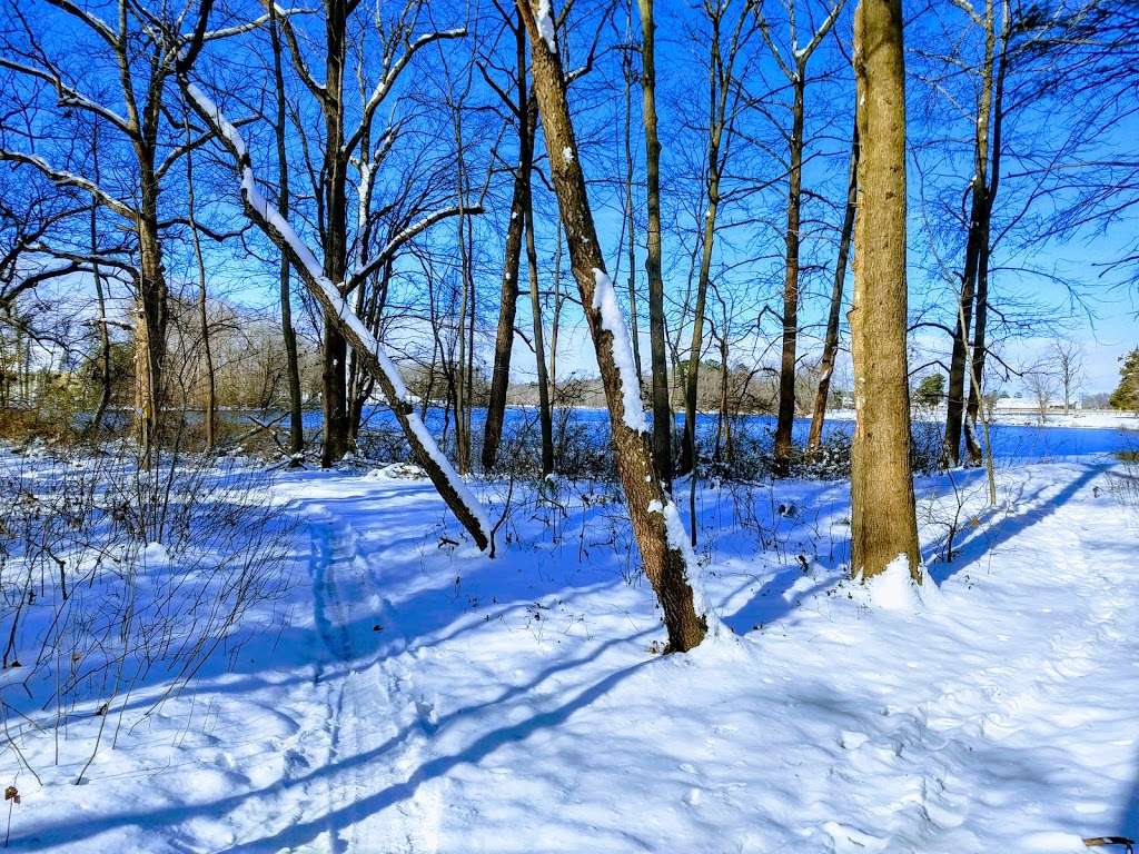 Milford Millponds Nature Preserve | 8187 Abbotts Pond Rd, Greenwood, DE 19950, USA