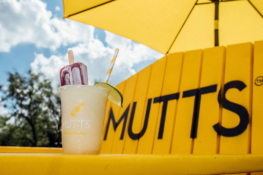 MUTTS Canine Cantina | 5317 Clearfork Main St, Fort Worth, TX 76109, USA | Phone: (817) 377-0151