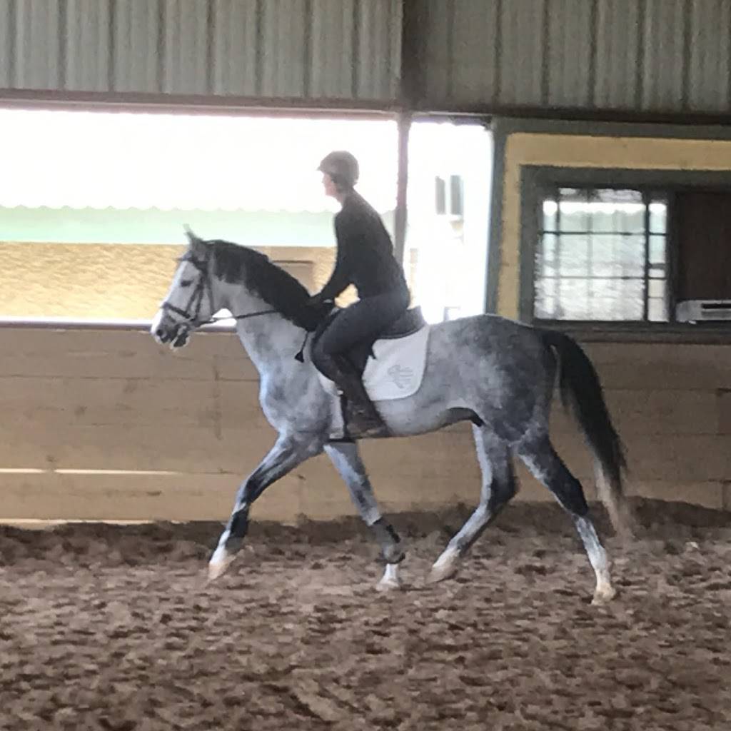 North Texas Equestrian Center - Riding Lessons & Horse Boarding  | 1765 Southview Dr, Wylie, TX 75098, USA | Phone: (972) 442-7544