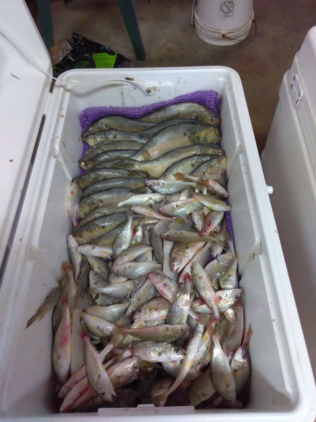 Lees Bait & Tackle | 230 Dike Rd, Texas City, TX 77590, USA | Phone: (409) 945-5675