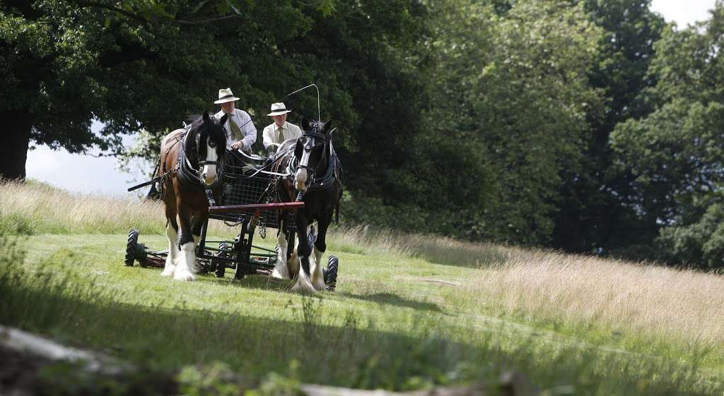 Operation Centaur | Holly Lodge, Richmond TW10 5HS, UK