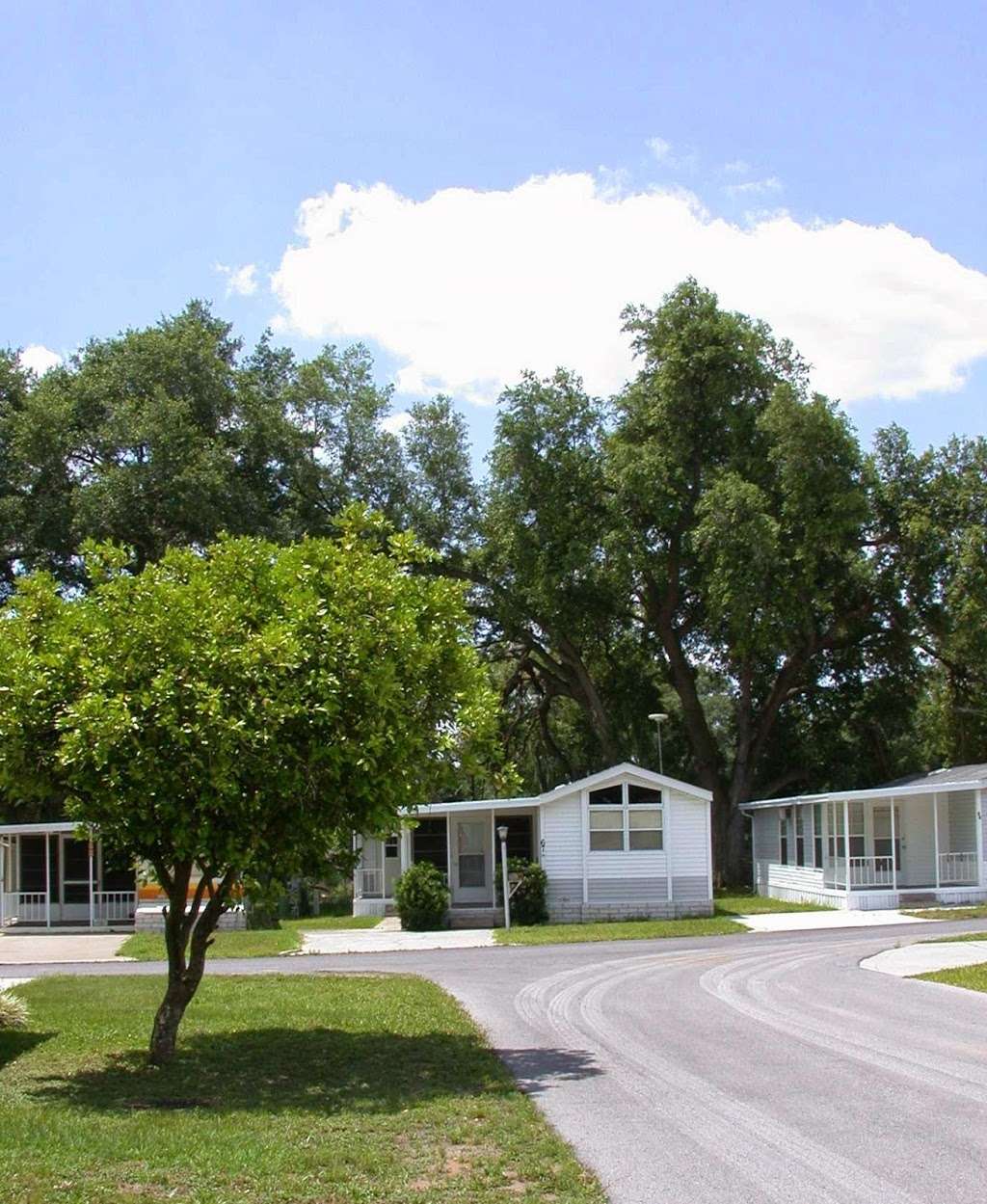 Citrus Hill RV Resort | 9267 US-98, Dade City, FL 33525, USA | Phone: (352) 567-6045