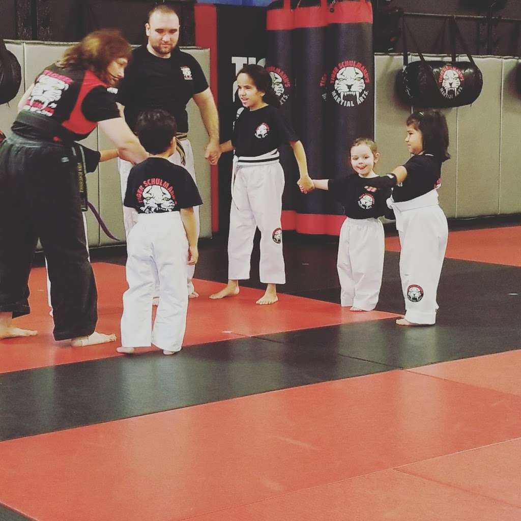 Tiger Schulmanns Martial Arts | 485 Mola Blvd, Elmwood Park, NJ 07407, USA | Phone: (201) 255-7536