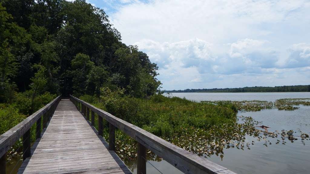 Voorhees Nature Preserve | Colonial Beach, VA 22443, USA