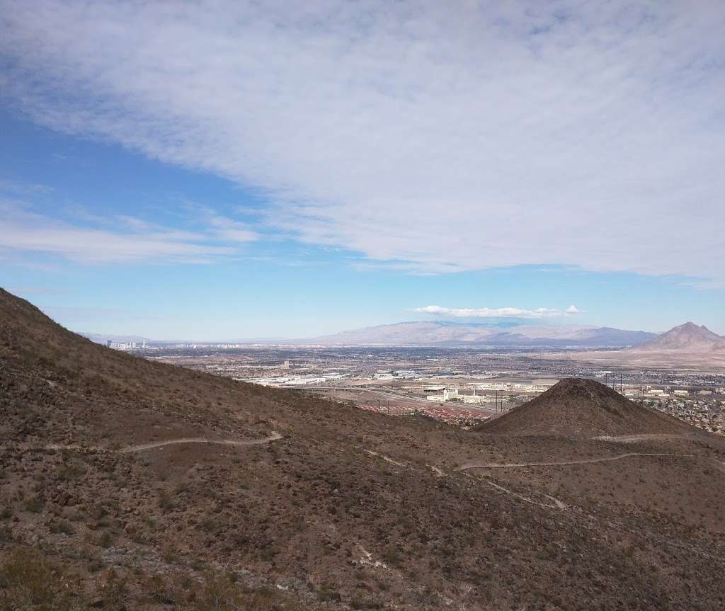 Verdin Point | Amargosa Trail, Henderson, NV 89012, USA