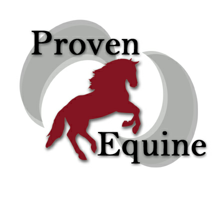 Proven Equine | 54410 Buckhorn Rd, Astor, FL 32102, USA | Phone: (352) 630-3373