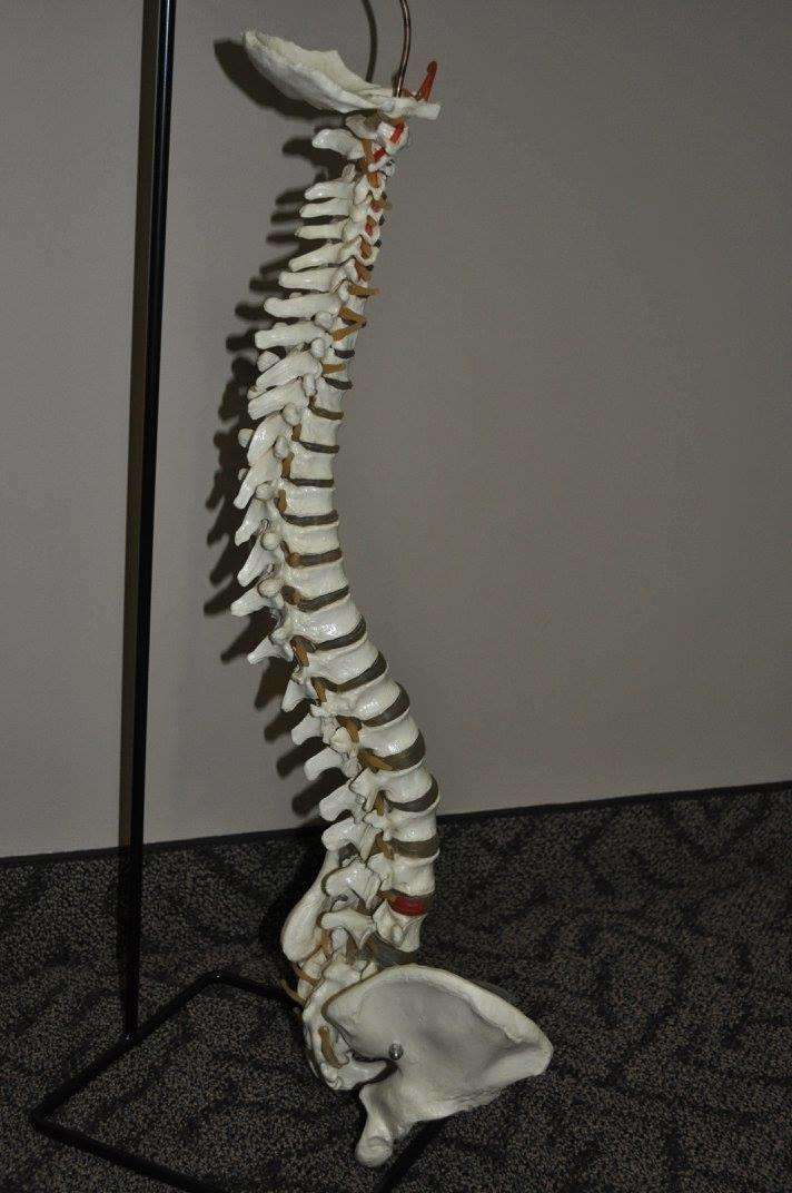 Regional Sport and Spine | 4004 N Campbell St, Valparaiso, IN 46385, USA | Phone: (219) 465-1140