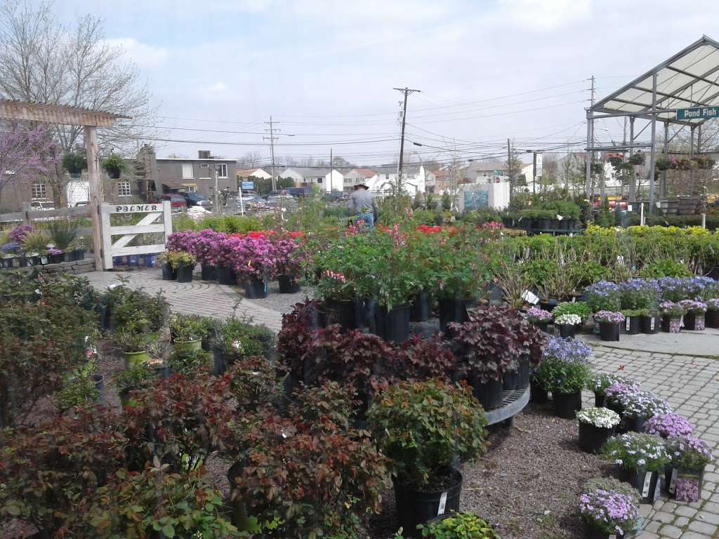 Palmer Nursery | 2210 Corriere Rd Unit A, Easton, PA 18045, USA | Phone: (610) 253-0948