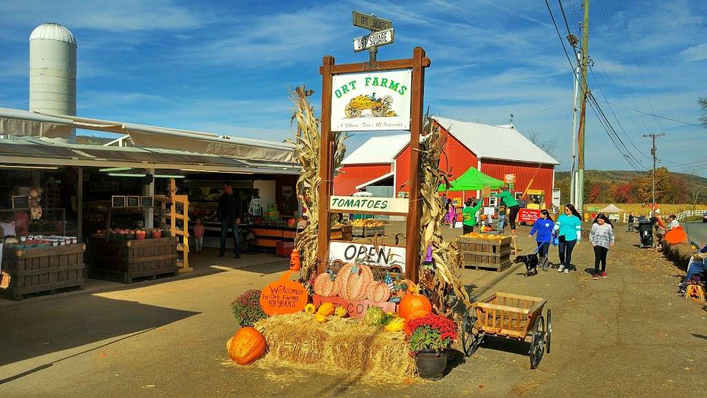 Ort Farms | 25 Bartley Rd, Long Valley, NJ 07853, USA | Phone: (908) 876-3351