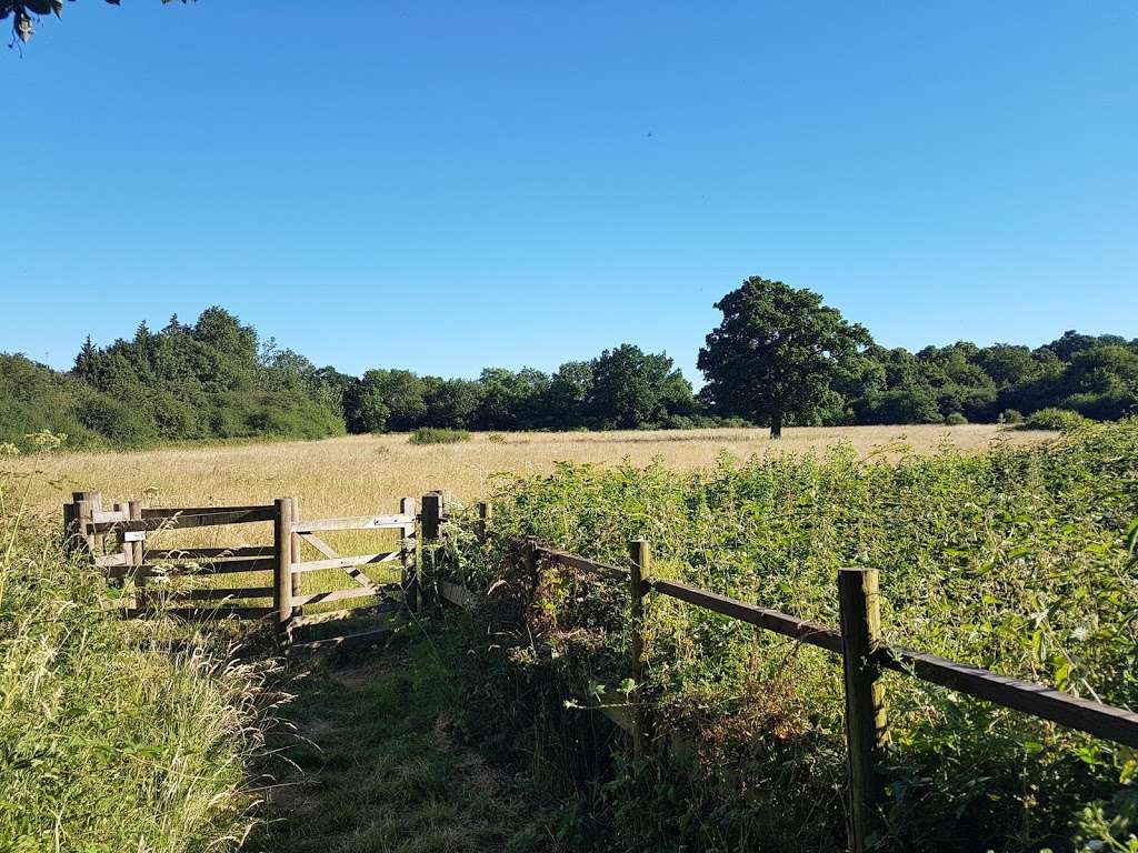 Totteridge Fields Nature Reserve | London NW7 4HR, UK