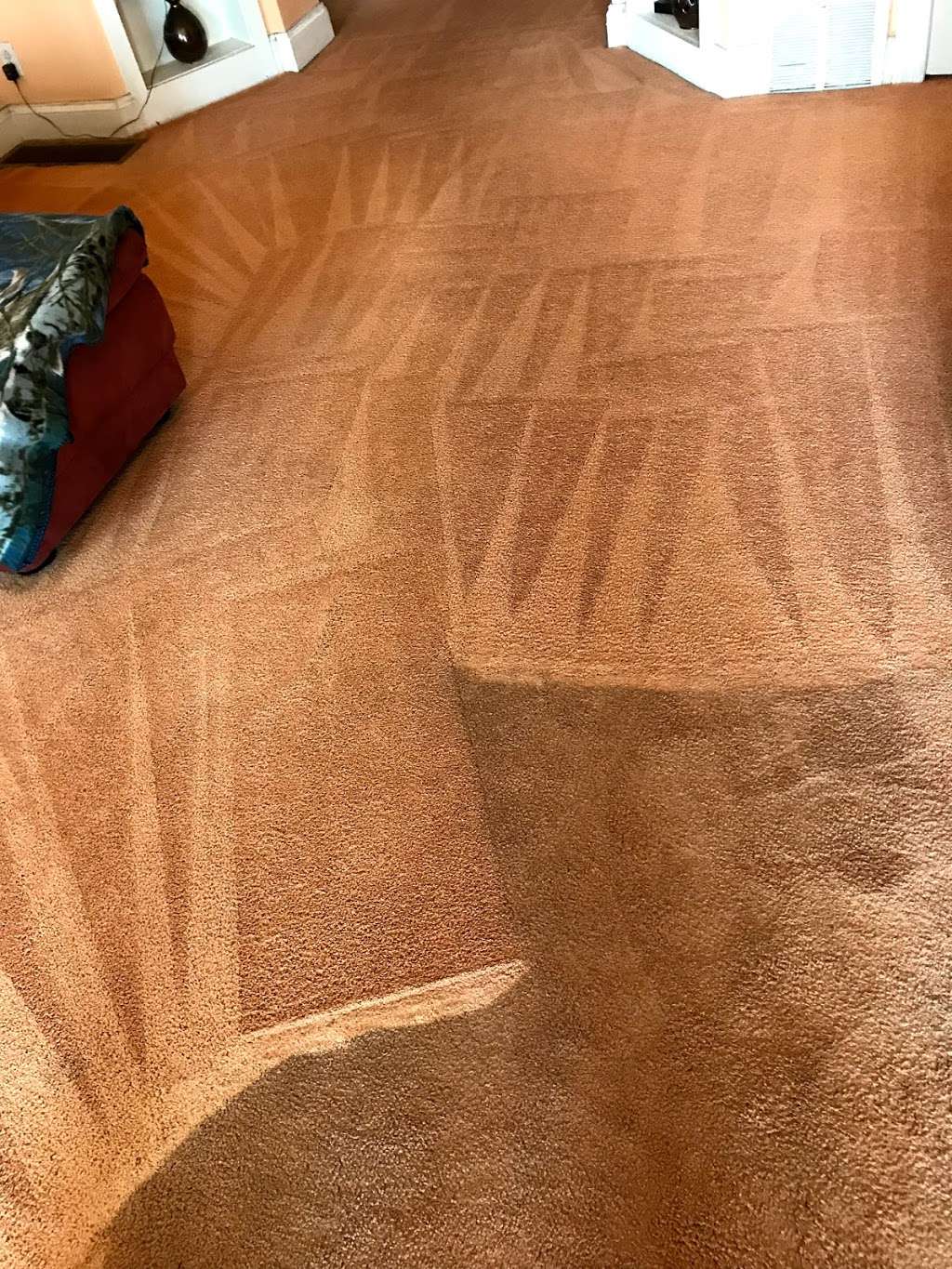 Unique Steam Clean | 1407 Dogwood Cir, Blue Bell, PA 19422, USA | Phone: (484) 868-2621