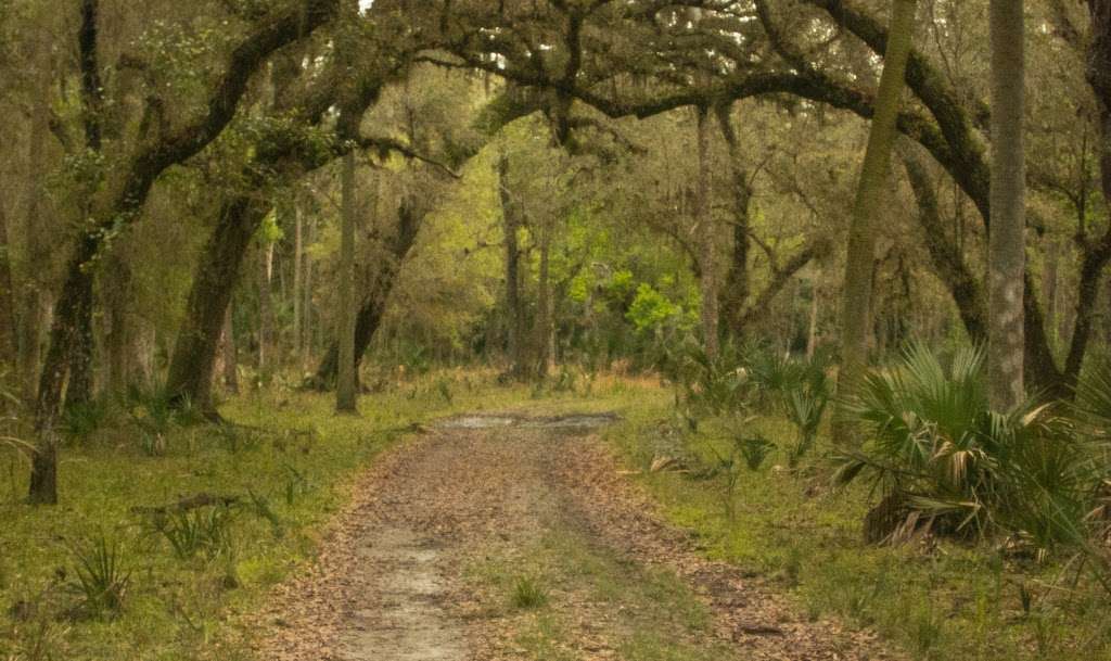 Brumley Rd Trailhead | 2500 Brumley Rd, Chuluota, FL 32766, USA