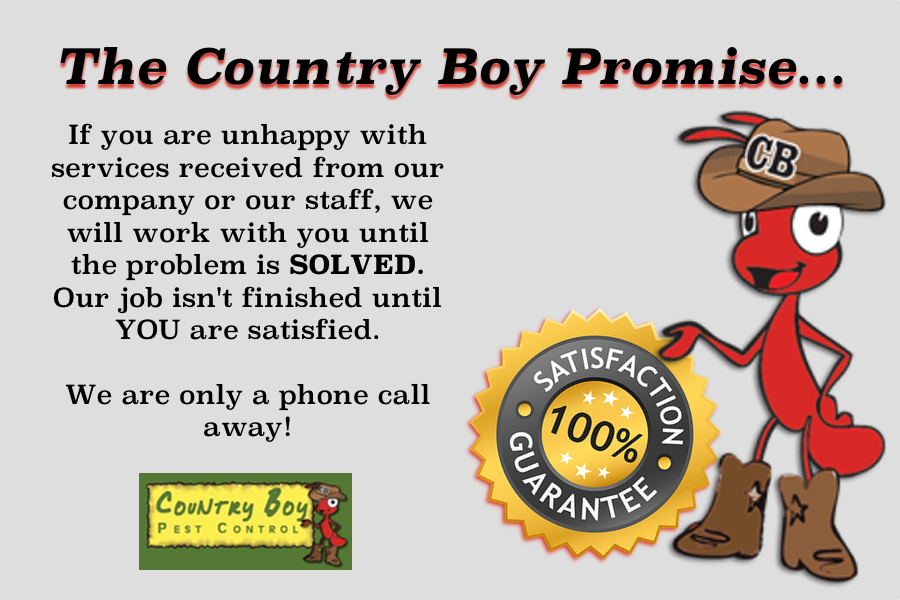 Country Boy Pest Control Inc | 2103 K-Ville Ave, Auburndale, FL 33823, USA | Phone: (863) 293-7331