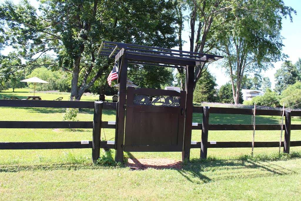 The Bothy Lavender Farm | 1171 Nelson Ln, Amissville, VA 20106, USA | Phone: (540) 905-4749