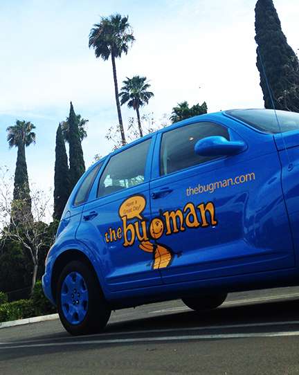the bugman | 525 N Shepard St, Anaheim, CA 92806 | Phone: (714) 707-6604
