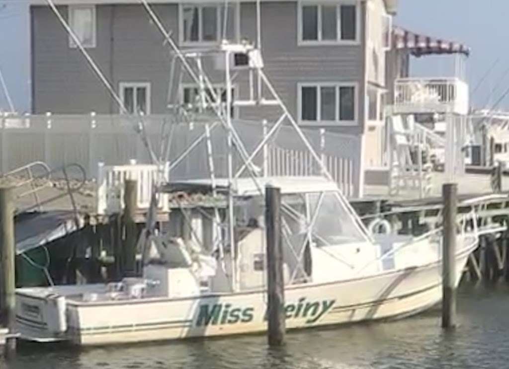 Moover Fishing Adventures | 102 Spruce Rd, Ocean City, NJ 08226, USA | Phone: (609) 515-6161