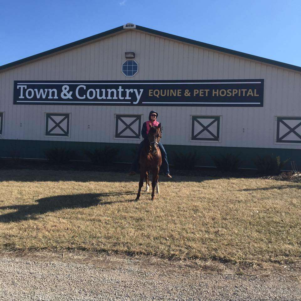 Town & Country Equine & Pet Hospital | 27965 Beaver Creek Rd, Louisburg, KS 66053, USA | Phone: (913) 937-9366