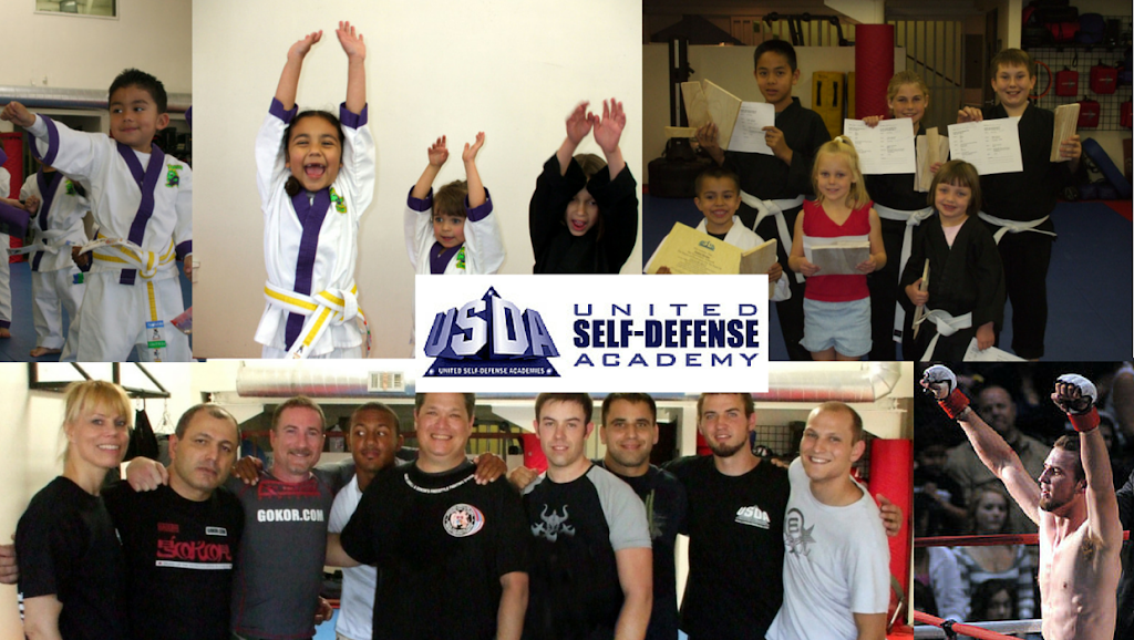 United Self-Defense Hayastan MMA Academy | 1817 E Ave Q A-7, Palmdale, CA 93550, USA | Phone: (661) 267-6880