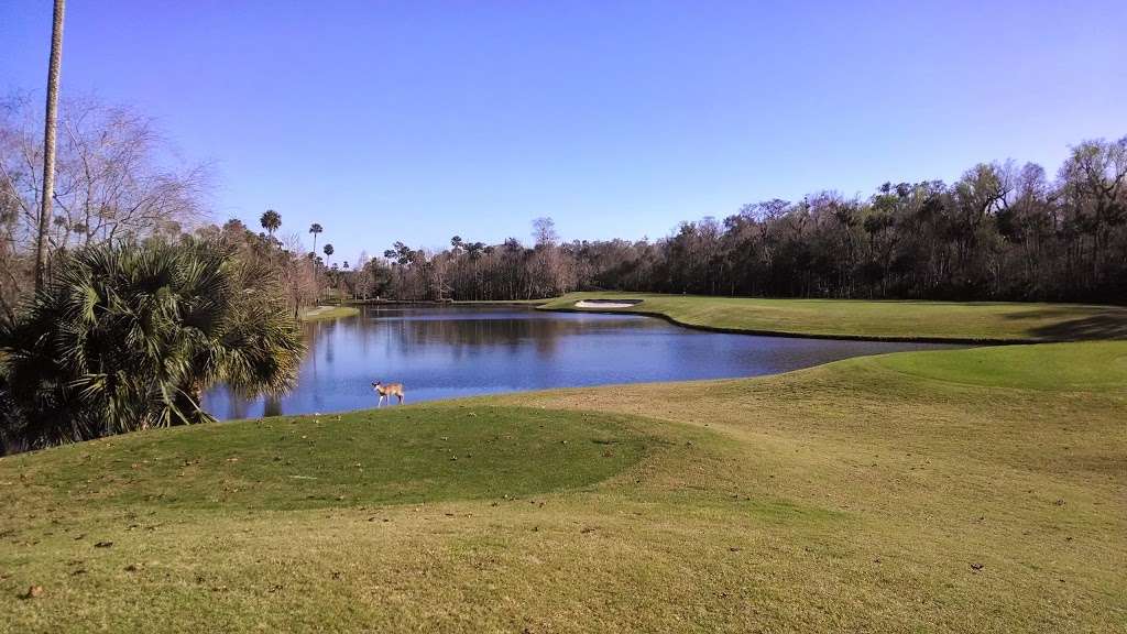 Wekiva River Buffer Conservation Area | Wilderness Drive, Longwood, FL 32779 | Phone: (386) 329-4404