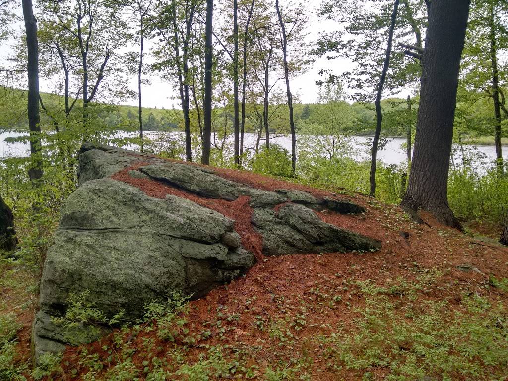 Rocky Pond Community Forest | Green St, Boylston, MA 01505, USA