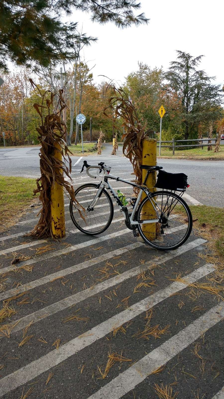 Blackwood Lake Park Nature Walking Trail | E Railroad Ave, Blackwood, NJ 08012, USA