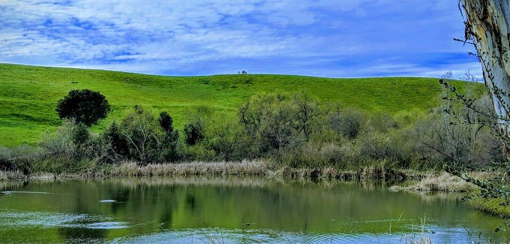 Garin Regional Park | 1320 Garin Ave, Hayward, CA 94544, USA | Phone: (888) 327-2757