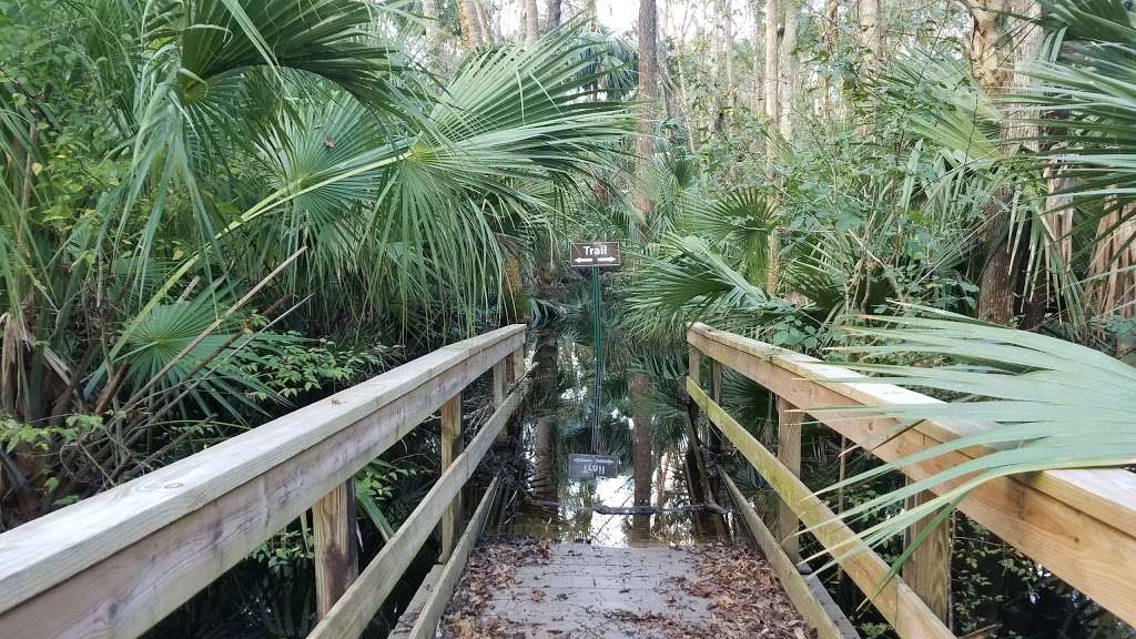 Spring Hammock Preserve | Sanford, FL 32773, USA | Phone: (407) 349-0769