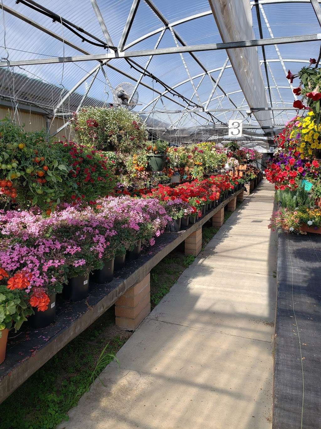 Durans Hobby Acres Greenhouse | 15591 N 107th St, Longmont, CO 80504, USA | Phone: (303) 257-0195