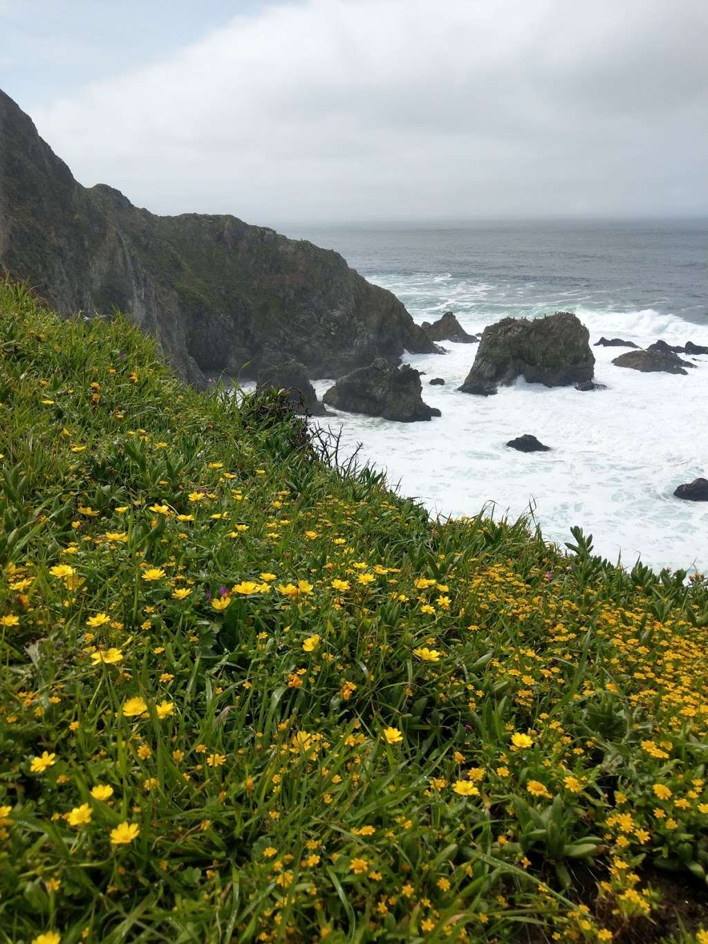 Tomales Point | Inverness, CA 94937, USA