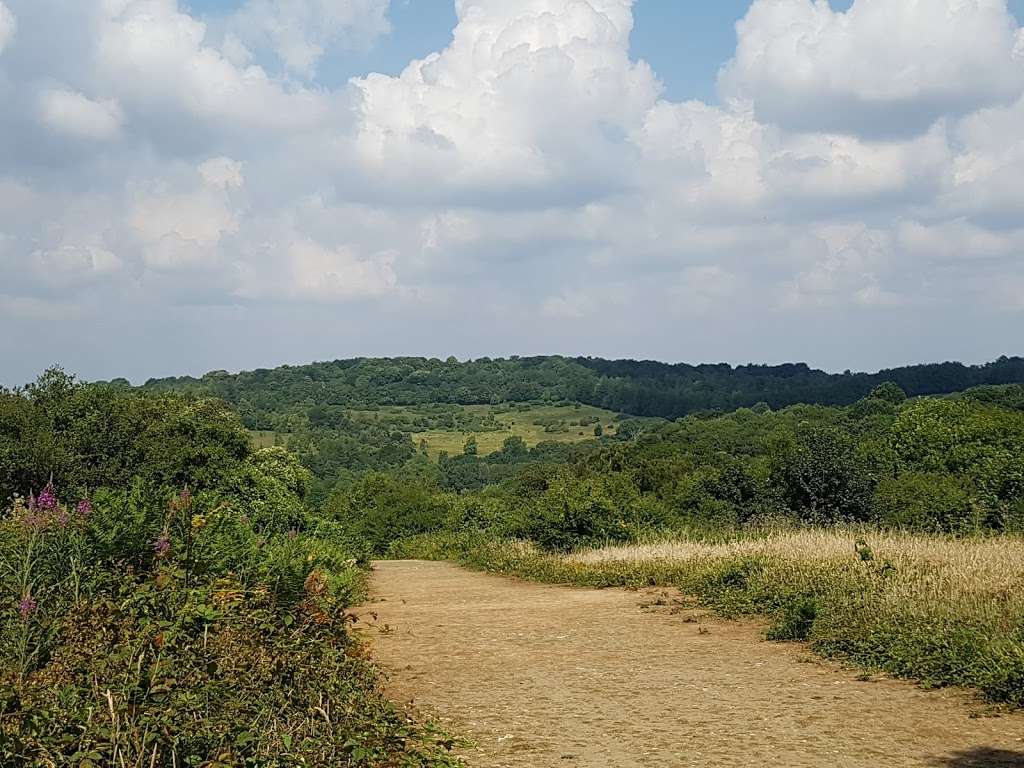 National Trust - Headley Heath | Headley Common Rd, Headley, Headley Heath KT18 6NN, UK | Phone: 01306 885502