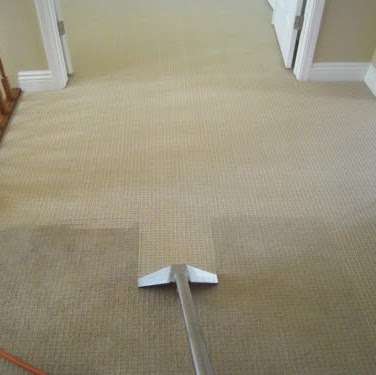 Pro Care Carpet and Floor Cleaning | 5400 Rabbit Foot Rd, East Stroudsburg, PA 18301, USA | Phone: (570) 588-1938