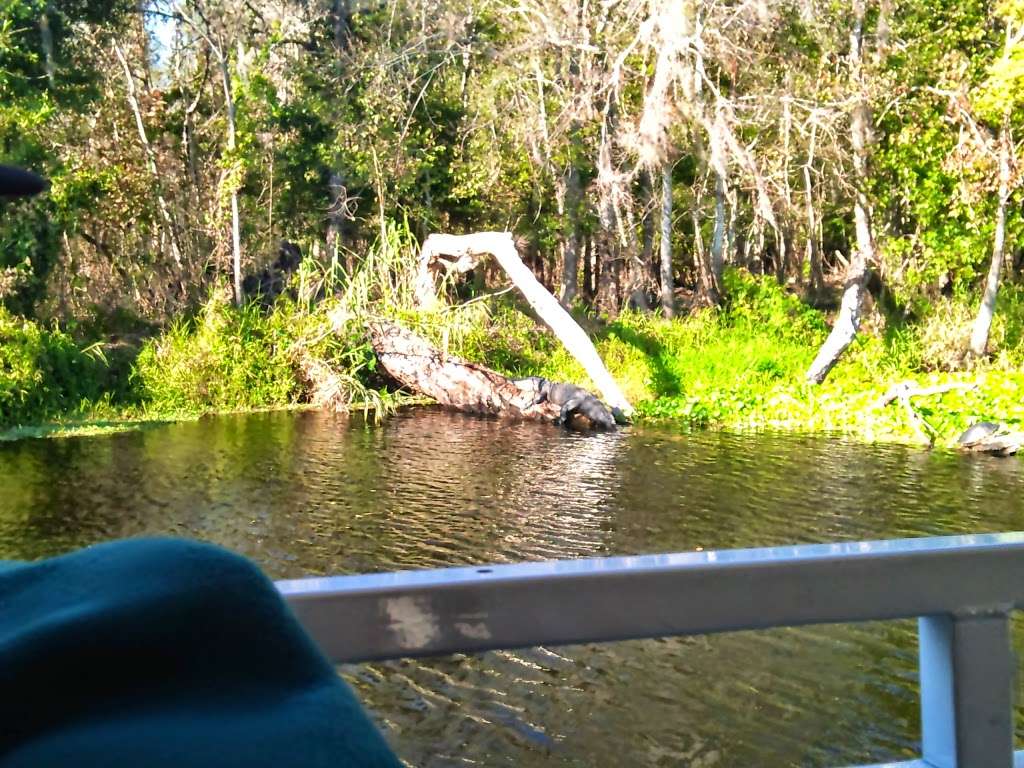 Lower Wekiva River Preserve State Park | 8300 FL-46, Sanford, FL 32771, USA | Phone: (407) 884-2009