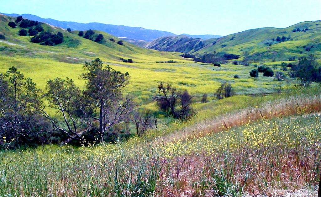 Chino Hills State Park Discovery Center | 4500 Carbon Canyon Rd, Brea, CA 92823 | Phone: (714) 524-2471