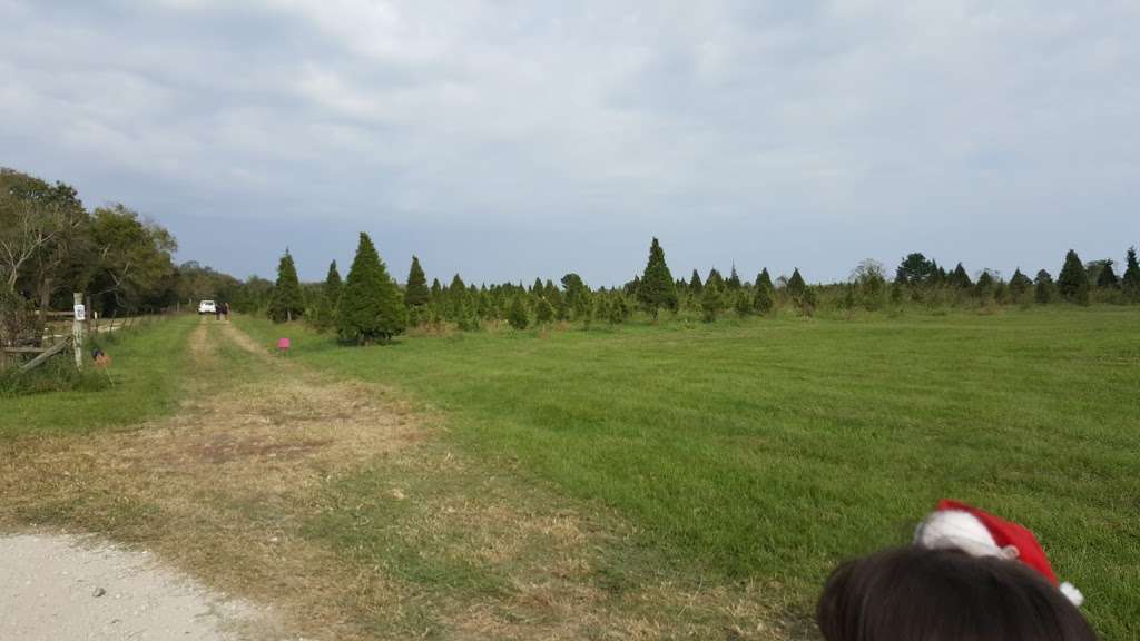 Holiday Acres Christmas Tree Farm | 8919 Mustang Bayou Rd, Manvel, TX 77578, USA | Phone: (281) 317-0586