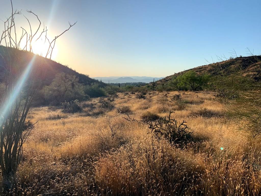 Dixie Mine Trail | 14357 E Desert Tortoise Trail, Fountain Hills, AZ 85268, USA