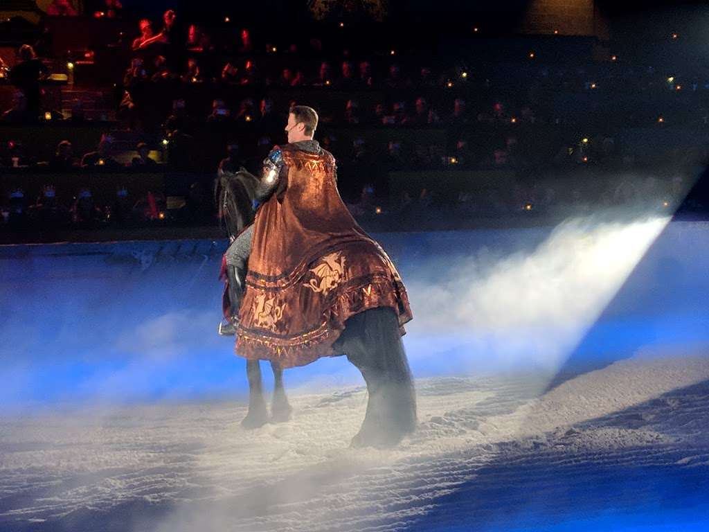 Medieval Times | 2001 N Roselle Rd, Schaumburg, IL 60173, USA