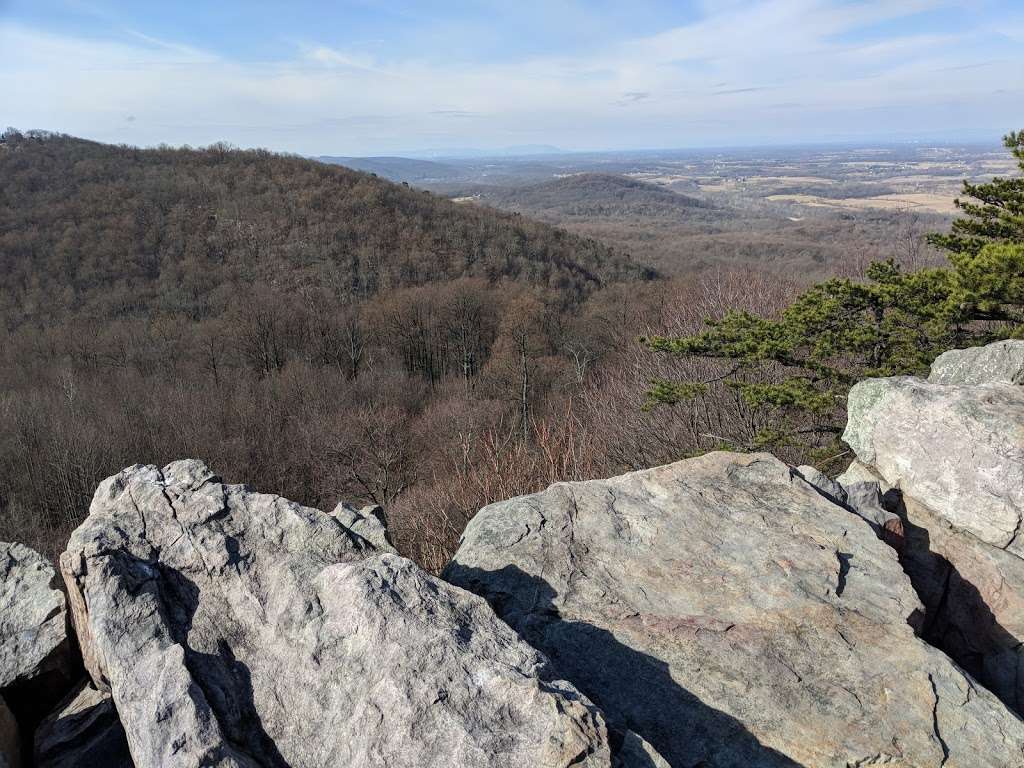 Appalachian Trail | Appalachian Trail, Bluemont, VA 20135, USA