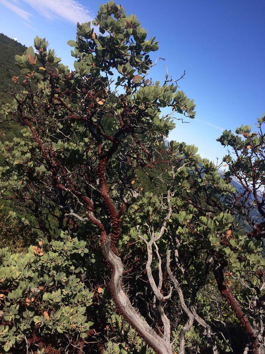 Mt. Tamalpais State Park Visitor Center | Mill Valley, CA 94941, USA