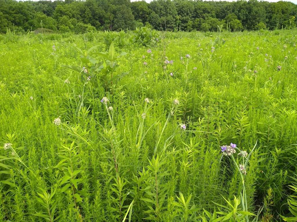Danada Forest Preserve | Wheaton, IL 60189, USA | Phone: (630) 933-7200